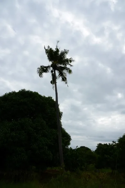 DSC_9353 (Large).JPG